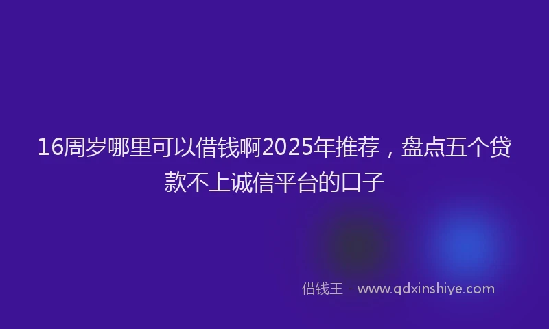 16周岁哪里可以借钱啊2025年推荐，盘点五个贷款不上诚信平台的口子