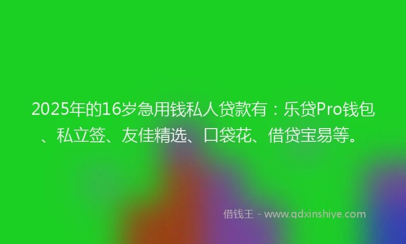 2025年的16岁急用钱私人贷款有：乐贷Pro钱包、私立签、友佳精选、口袋花、借贷宝易等。