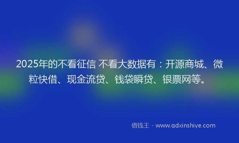 2025年的不看征信 不看大数据有：开源商城、微粒快借、现金流贷、钱袋瞬贷、银票网等。