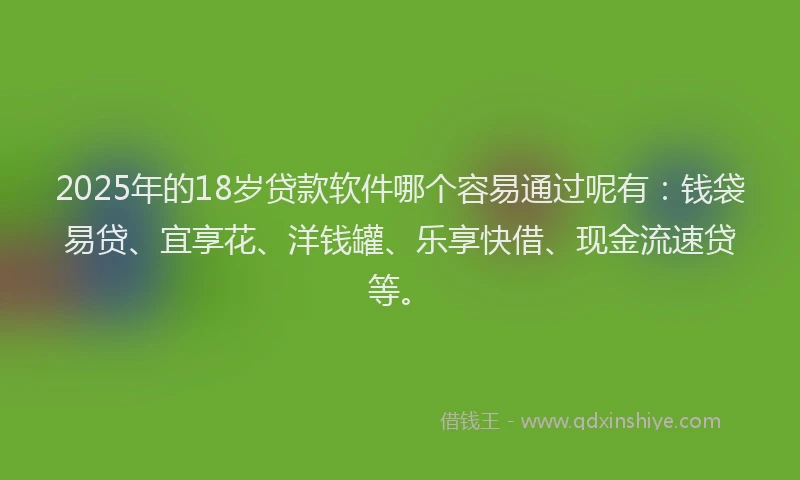 2025年的18岁贷款软件哪个容易通过呢有：钱袋易贷、宜享花、洋钱罐、乐享快借、现金流速贷等。