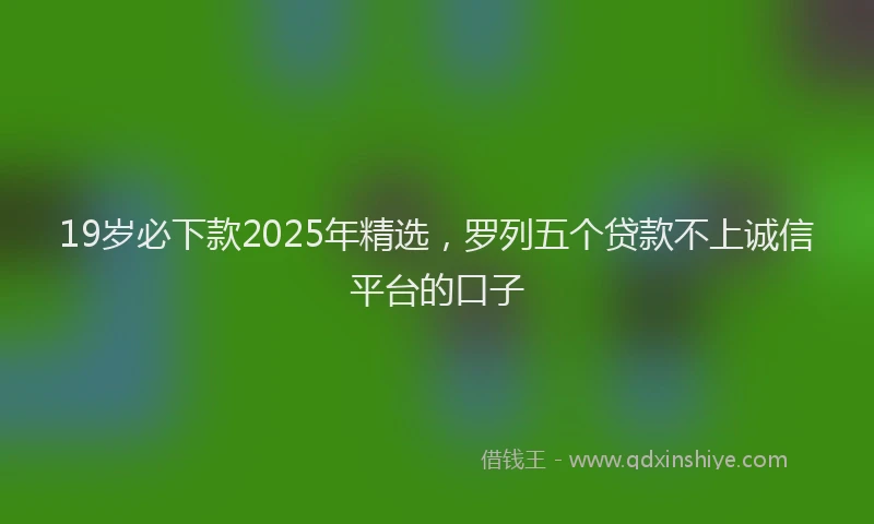 19岁必下款2025年精选，罗列五个贷款不上诚信平台的口子