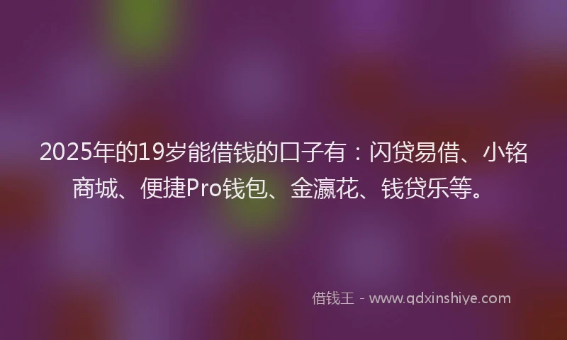 2025年的19岁能借钱的口子有：闪贷易借、小铭商城、便捷Pro钱包、金瀛花、钱贷乐等。