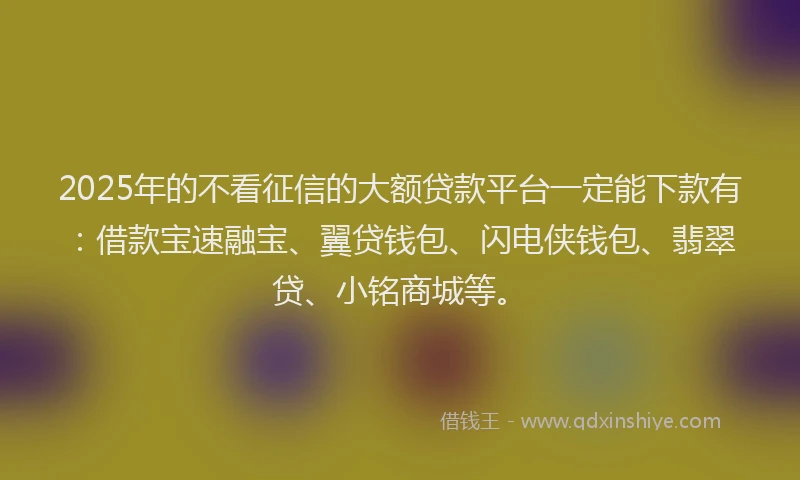2025年的不看征信的大额贷款平台一定能下款有：借款宝速融宝、翼贷钱包、闪电侠钱包、翡翠贷、小铭商城等。