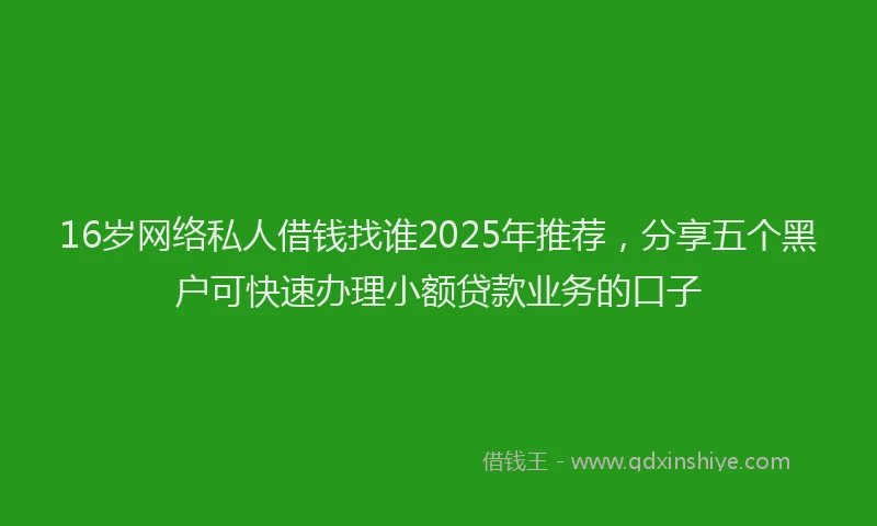 16岁网络私人借钱找谁2025年推荐，分享五个黑户可快速办理小额贷款业务的口子