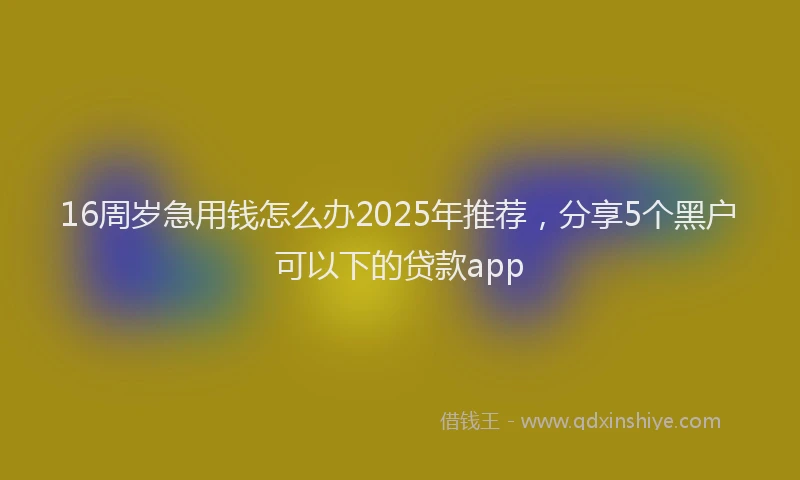 16周岁急用钱怎么办2025年推荐，分享5个黑户可以下的贷款app