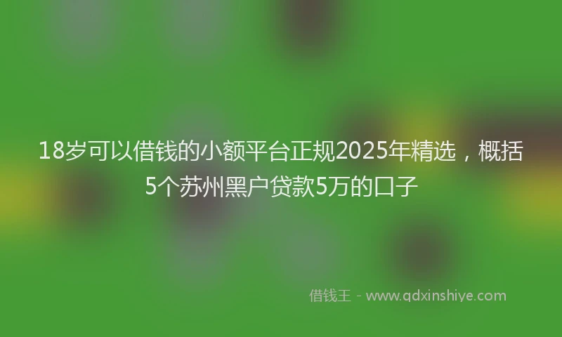18岁可以借钱的小额平台正规2025年精选，概括5个苏州黑户贷款5万的口子