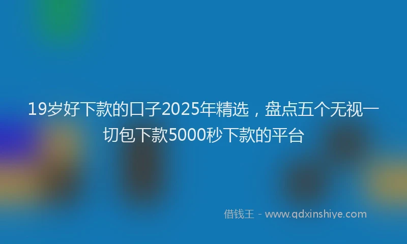 19岁好下款的口子2025年精选，盘点五个无视一切包下款5000秒下款的平台