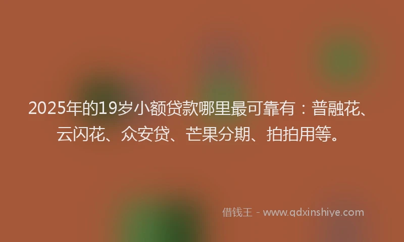2025年的19岁小额贷款哪里最可靠有：普融花、云闪花、众安贷、芒果分期、拍拍用等。