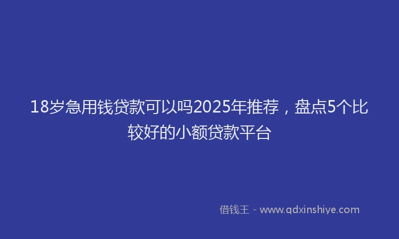 18岁急用钱贷款可以吗2025年推荐，盘点5个比较好的小额贷款平台