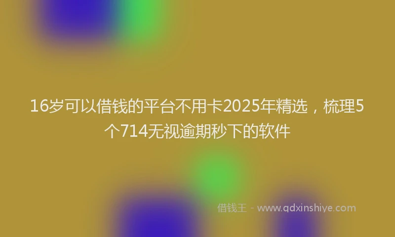16岁可以借钱的平台不用卡2025年精选，梳理5个714无视逾期秒下的软件