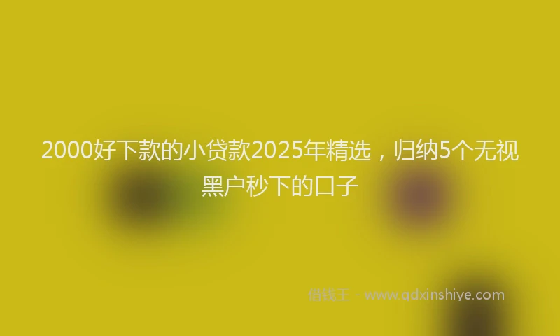 2000好下款的小贷款2025年精选，归纳5个无视黑户秒下的口子