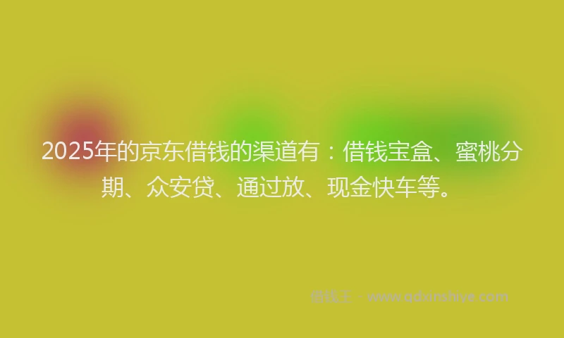 2025年的京东借钱的渠道有：借钱宝盒、蜜桃分期、众安贷、通过放、现金快车等。