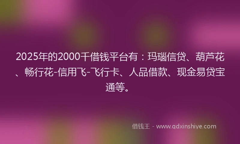 2025年的2000千借钱平台有：玛瑙信贷、葫芦花、畅行花-信用飞-飞行卡、人品借款、现金易贷宝通等。