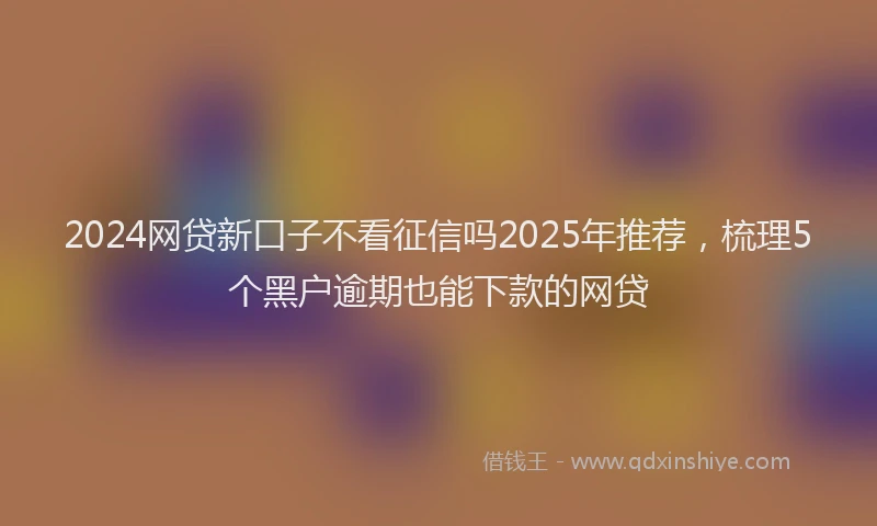 2024网贷新口子不看征信吗2025年推荐，梳理5个黑户逾期也能下款的网贷