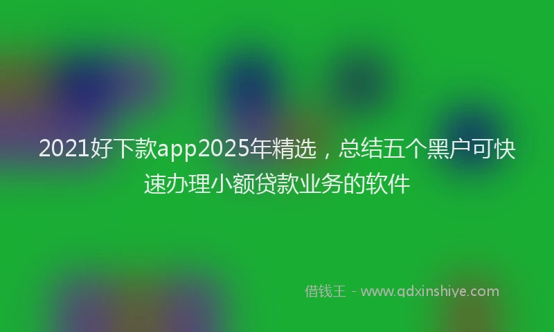 2021好下款app2025年精选，总结五个黑户可快速办理小额贷款业务的软件
