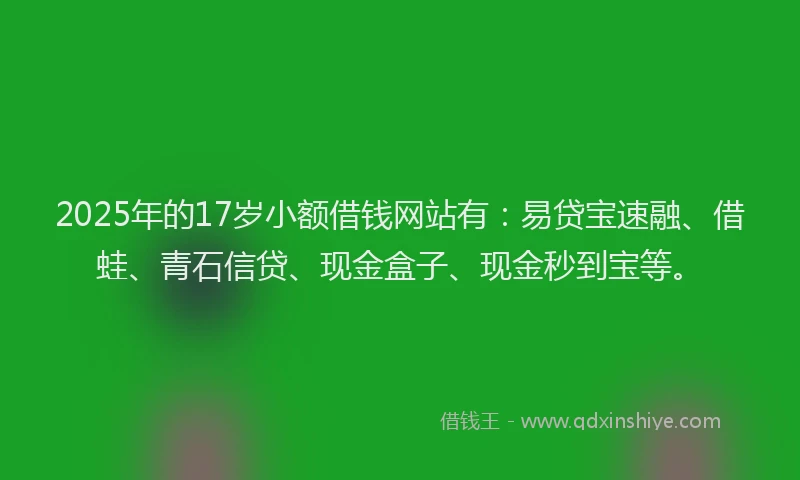 2025年的17岁小额借钱网站有：易贷宝速融、借蛙、青石信贷、现金盒子、现金秒到宝等。