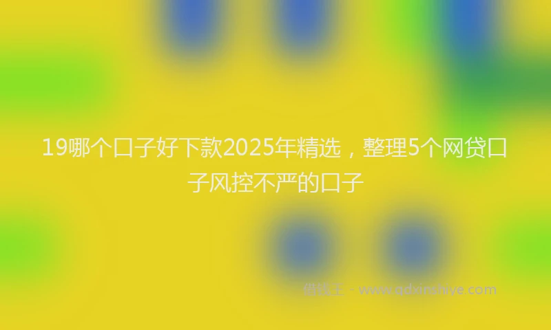 19哪个口子好下款2025年精选，整理5个网贷口子风控不严的口子