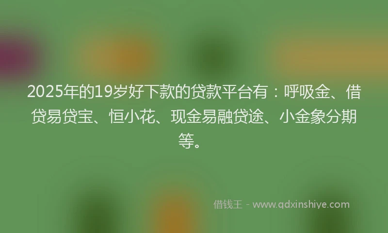 2025年的19岁好下款的贷款平台有：呼吸金、借贷易贷宝、恒小花、现金易融贷途、小金象分期等。