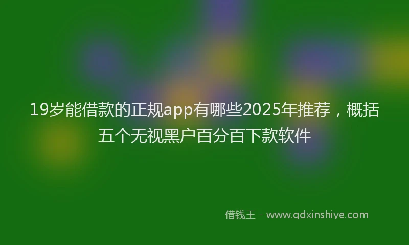 19岁能借款的正规app有哪些2025年推荐，概括五个无视黑户百分百下款软件