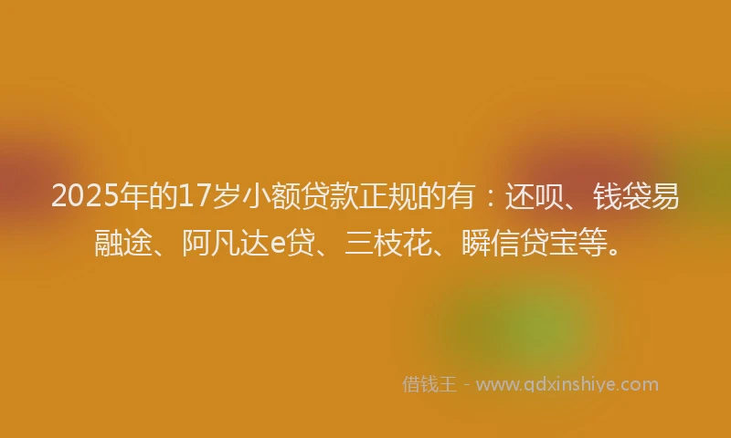 2025年的17岁小额贷款正规的有：还呗、钱袋易融途、阿凡达e贷、三枝花、瞬信贷宝等。