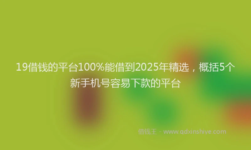19借钱的平台100%能借到2025年精选，概括5个新手机号容易下款的平台