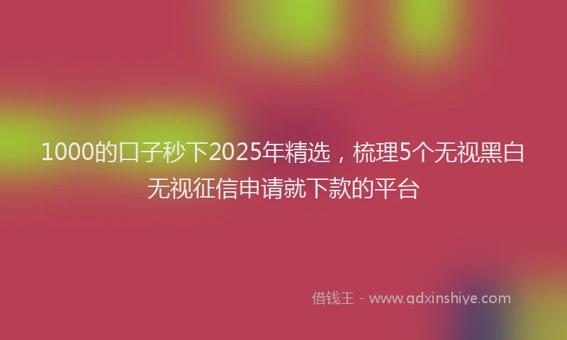 1000的口子秒下2025年精选，梳理5个无视黑白无视征信申请就下款的平台