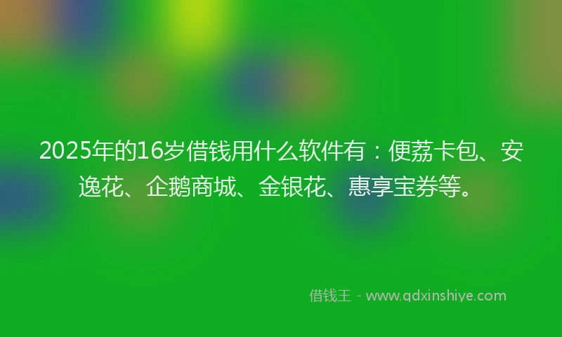 2025年的16岁借钱用什么软件有：便荔卡包、安逸花、企鹅商城、金银花、惠享宝券等。