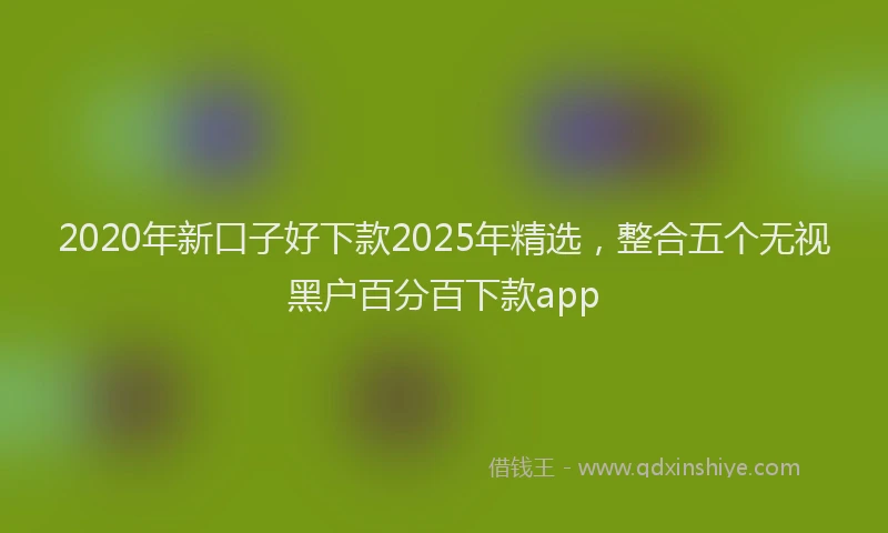 2020年新口子好下款2025年精选，整合五个无视黑户百分百下款app