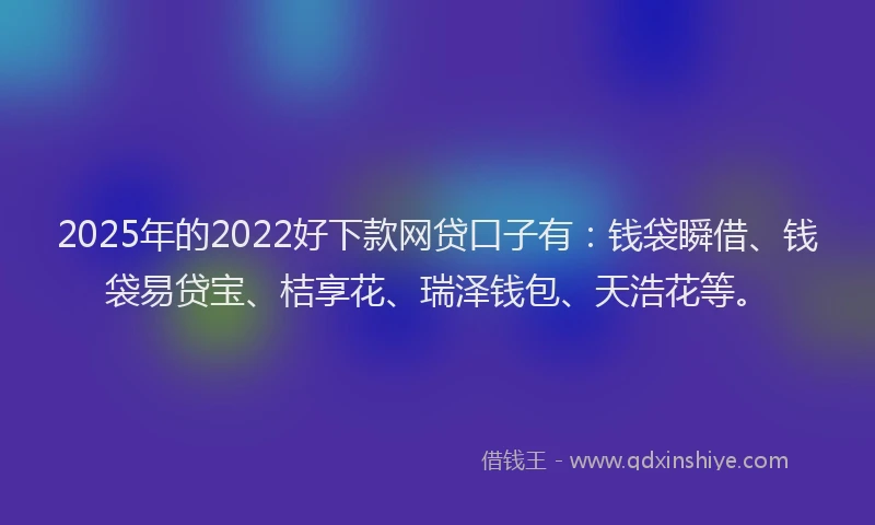 2025年的2022好下款网贷口子有：钱袋瞬借、钱袋易贷宝、桔享花、瑞泽钱包、天浩花等。