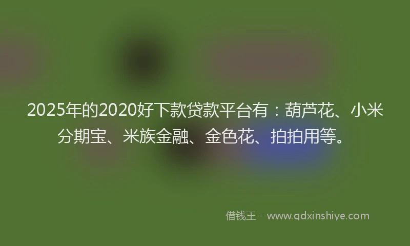 2025年的2020好下款贷款平台有：葫芦花、小米分期宝、米族金融、金色花、拍拍用等。