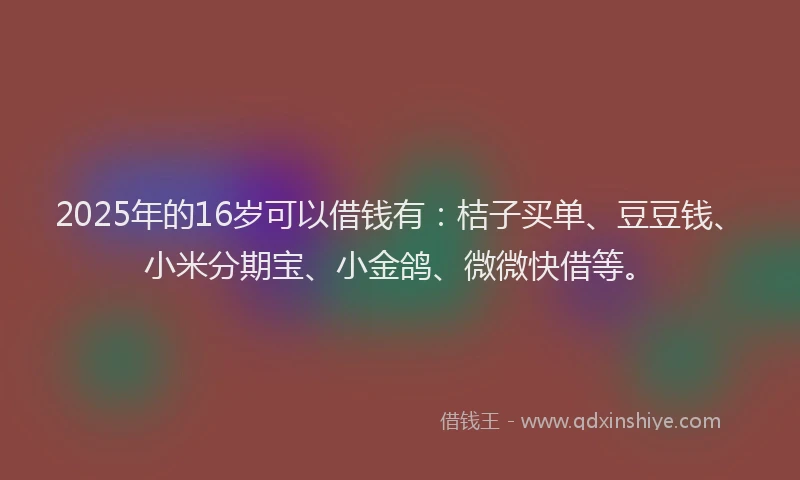 2025年的16岁可以借钱有：桔子买单、豆豆钱、小米分期宝、小金鸽、微微快借等。