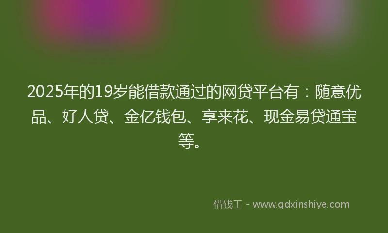 2025年的19岁能借款通过的网贷平台有：随意优品、好人贷、金亿钱包、享来花、现金易贷通宝等。