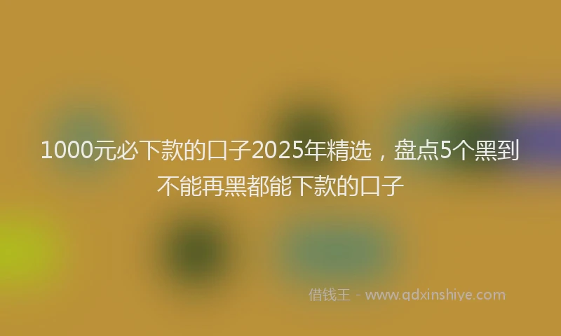 1000元必下款的口子2025年精选，盘点5个黑到不能再黑都能下款的口子