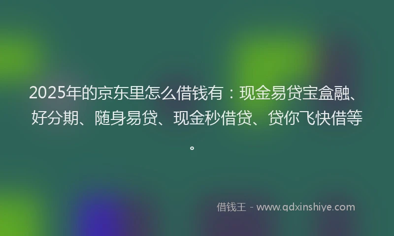 2025年的京东里怎么借钱有：现金易贷宝盒融、好分期、随身易贷、现金秒借贷、贷你飞快借等。