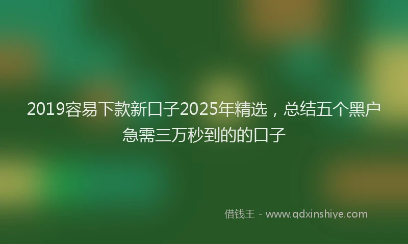 2019容易下款新口子2025年精选，总结五个黑户急需三万秒到的的口子