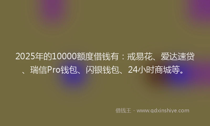 2025年的10000额度借钱有：戒易花、爱达速贷、瑞信Pro钱包、闪银钱包、24小时商城等。