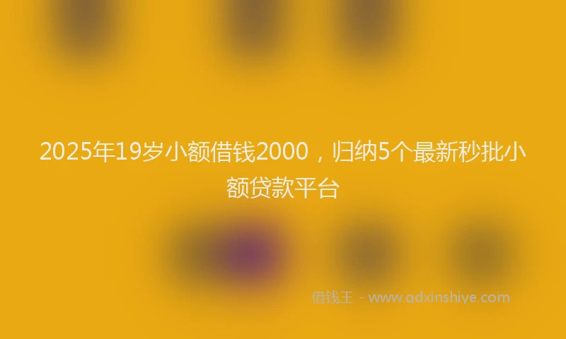 2025年19岁小额借钱2000，归纳5个最新秒批小额贷款平台