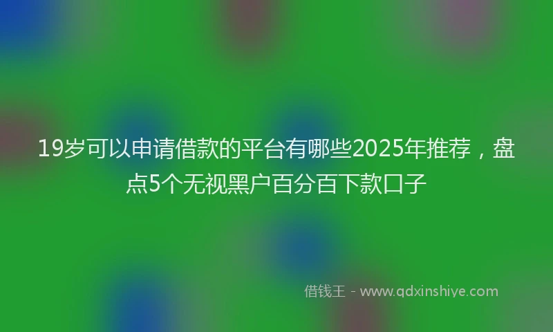 19岁可以申请借款的平台有哪些2025年推荐，盘点5个无视黑户百分百下款口子