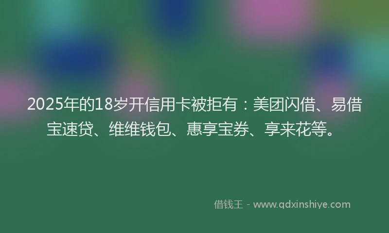 2025年的18岁开信用卡被拒有：美团闪借、易借宝速贷、维维钱包、惠享宝券、享来花等。