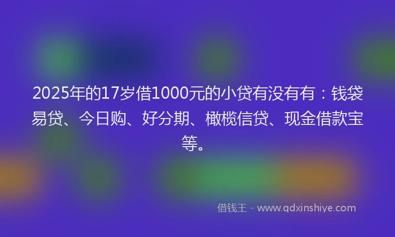2025年的17岁借1000元的小贷有没有有：钱袋易贷、今日购、好分期、橄榄信贷、现金借款宝等。