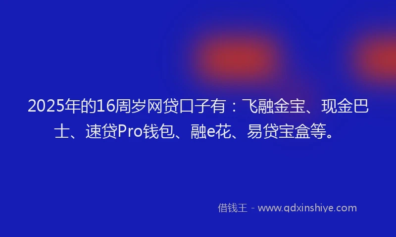 2025年的16周岁网贷口子有：飞融金宝、现金巴士、速贷Pro钱包、融e花、易贷宝盒等。