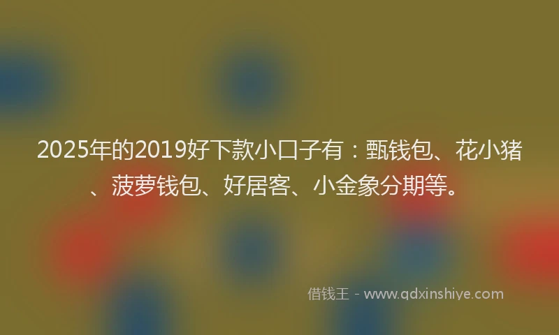 2025年的2019好下款小口子有：甄钱包、花小猪、菠萝钱包、好居客、小金象分期等。