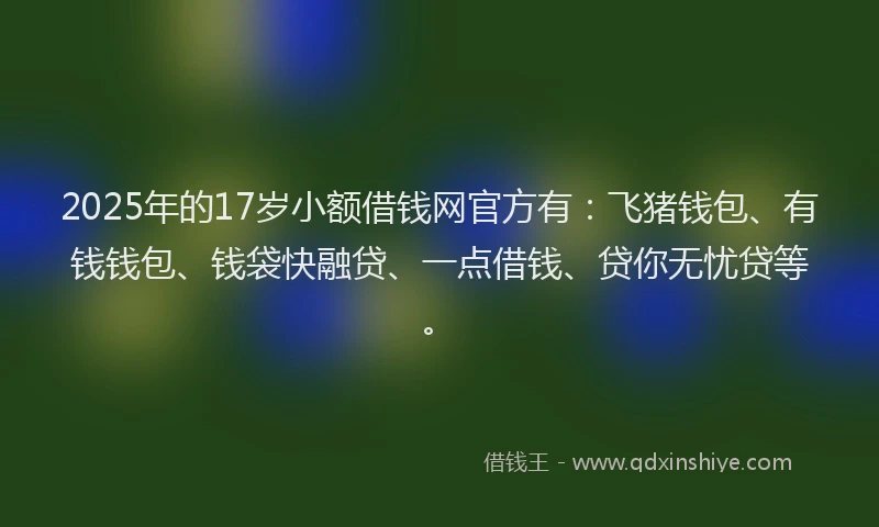 2025年的17岁小额借钱网官方有：飞猪钱包、有钱钱包、钱袋快融贷、一点借钱、贷你无忧贷等。