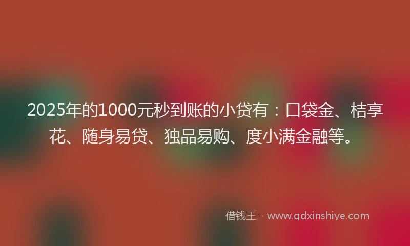2025年的1000元秒到账的小贷有：口袋金、桔享花、随身易贷、独品易购、度小满金融等。