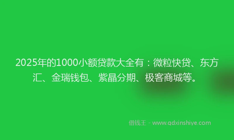 2025年的1000小额贷款大全有：微粒快贷、东方汇、金瑞钱包、紫晶分期、极客商城等。