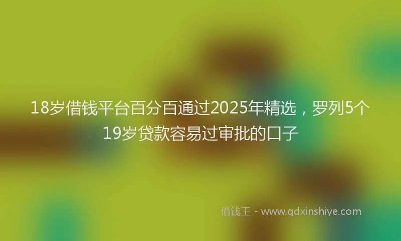 18岁借钱平台百分百通过2025年精选，罗列5个19岁贷款容易过审批的口子