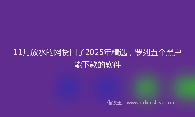 11月放水的网贷口子2025年精选，罗列五个黑户能下款的软件