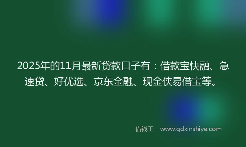 2025年的11月最新贷款口子有：借款宝快融、急速贷、好优选、京东金融、现金侠易借宝等。
