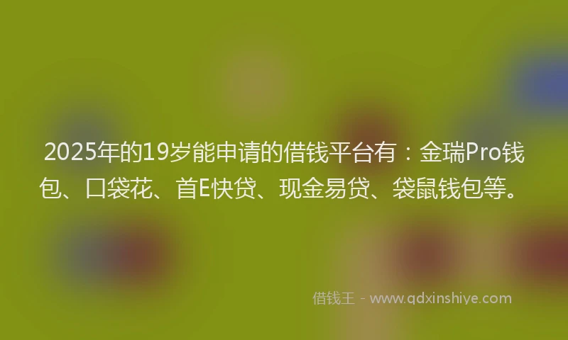 2025年的19岁能申请的借钱平台有：金瑞Pro钱包、口袋花、首E快贷、现金易贷、袋鼠钱包等。