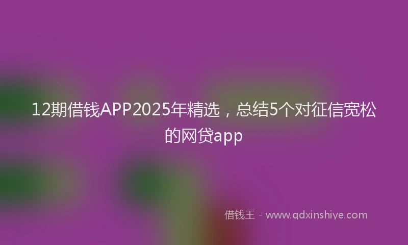 12期借钱APP2025年精选，总结5个对征信宽松的网贷app